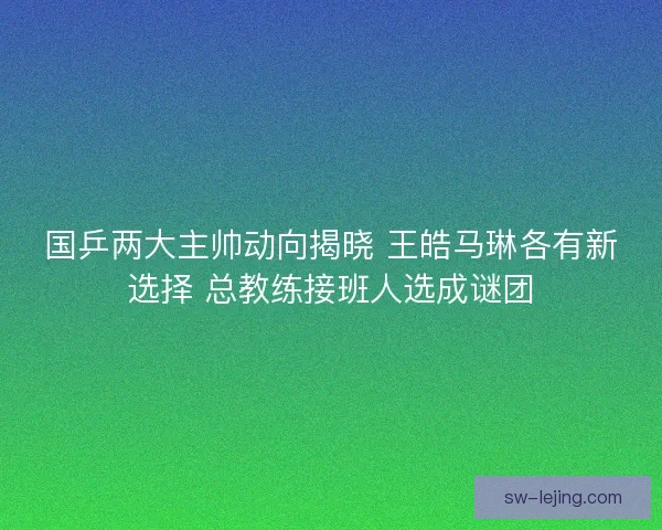 国乒两大主帅动向揭晓 王皓马琳各有新选择 总教练接班人选成谜团