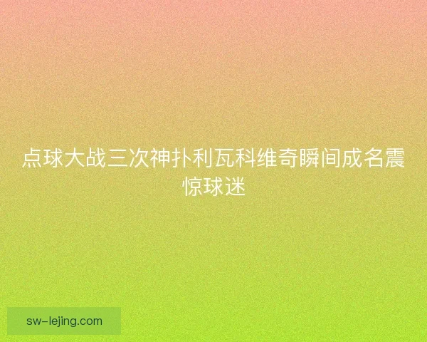 点球大战三次神扑利瓦科维奇瞬间成名震惊球迷